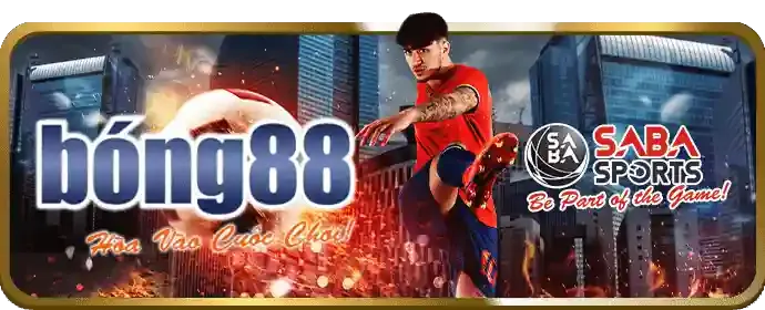 Minh họa câu hỏi thường gặp 368.bet